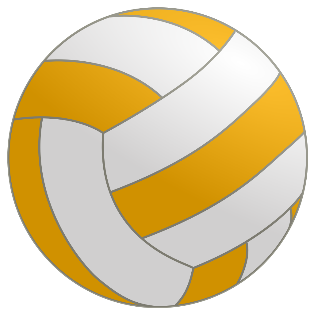 Dina El Bitar Net Worth 2018: What is this volleyball player worth?