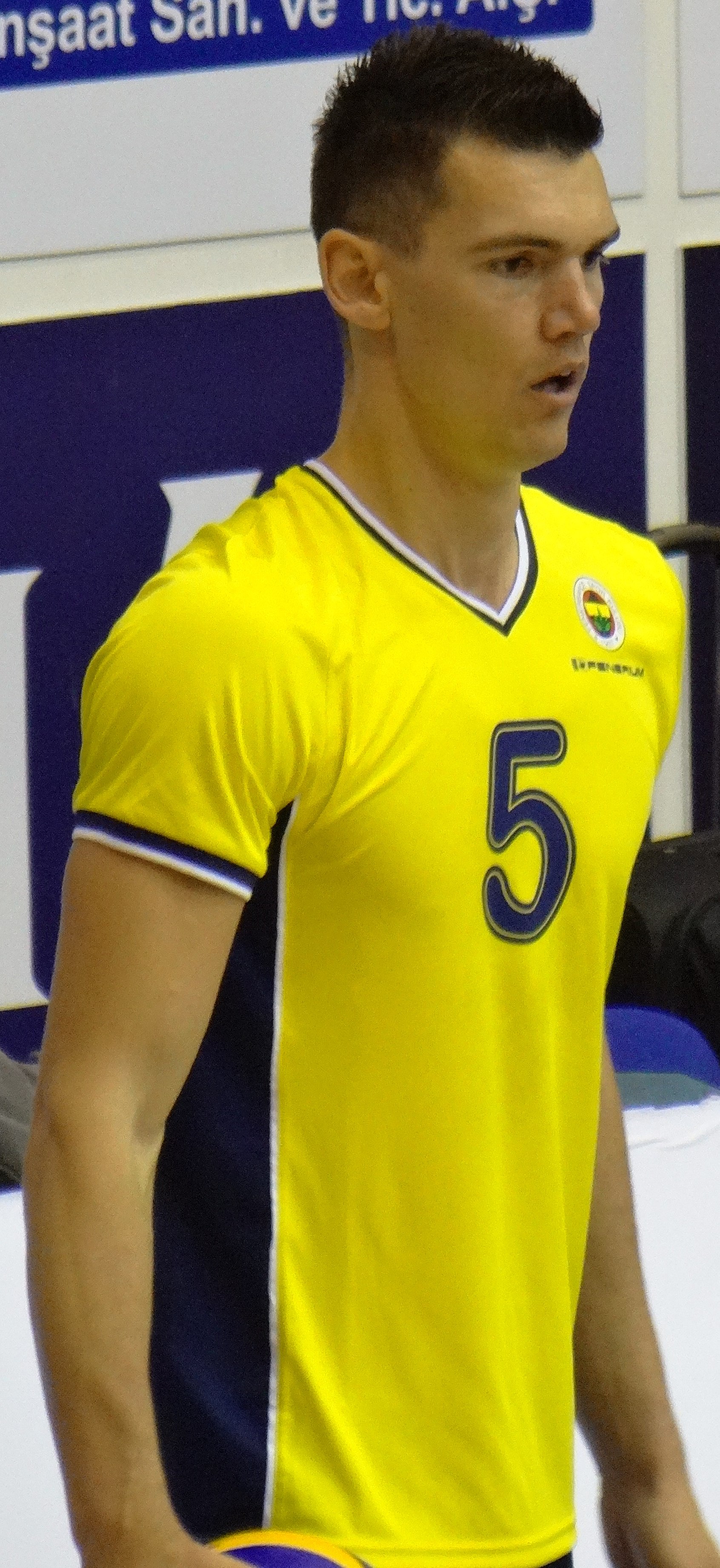 Alen Šket Net Worth 2018: What is this volleyball player worth?