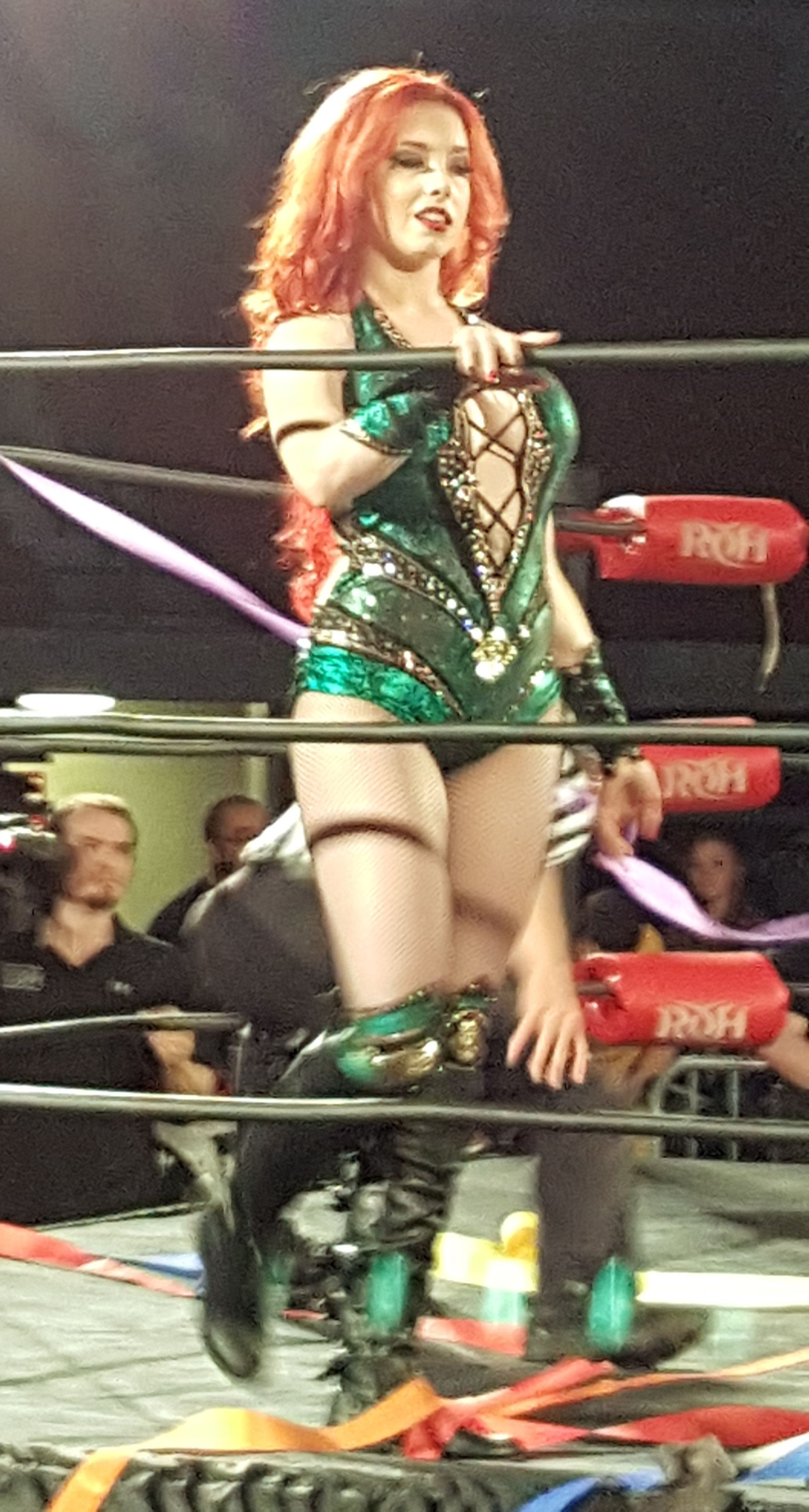 Taeler Hendrix Net Worth 2018: What is this wrestler worth?