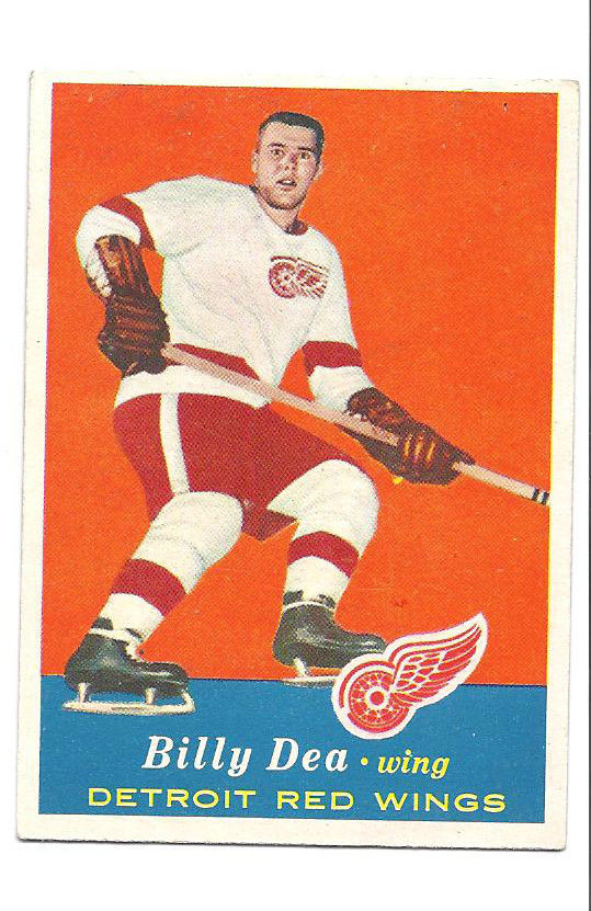 Billy Dea Net Worth 2018: What is this ice hockey player worth?