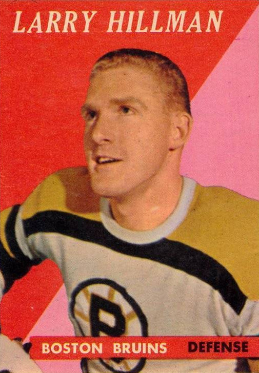 Larry Hillman Net Worth 2018: What is this ice hockey player worth?