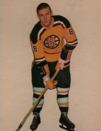 Wayne Connelly Net Worth 2018: What is this ice hockey player worth?
