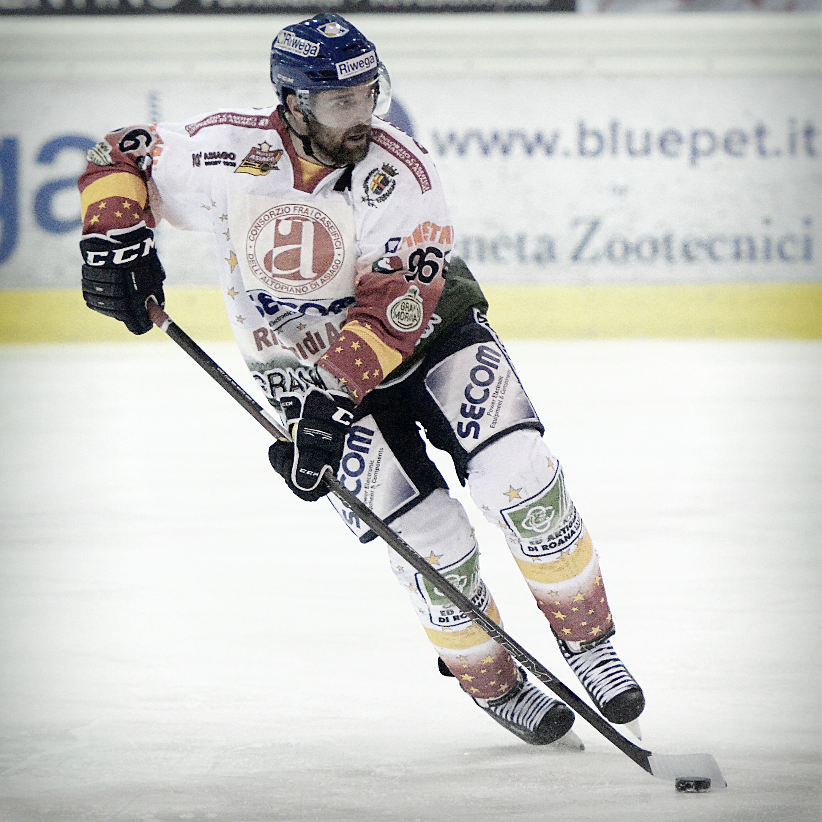 Michele Strazzabosco Net Worth 2018: What is this ice hockey player worth?