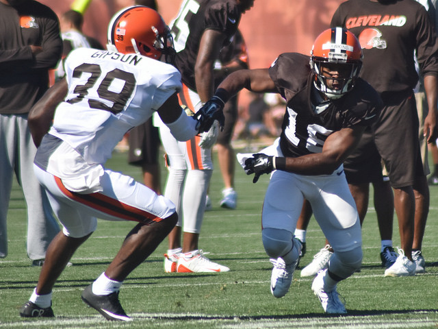 Tashaun Gipson Net Worth 2018: What is this NFL football player worth?