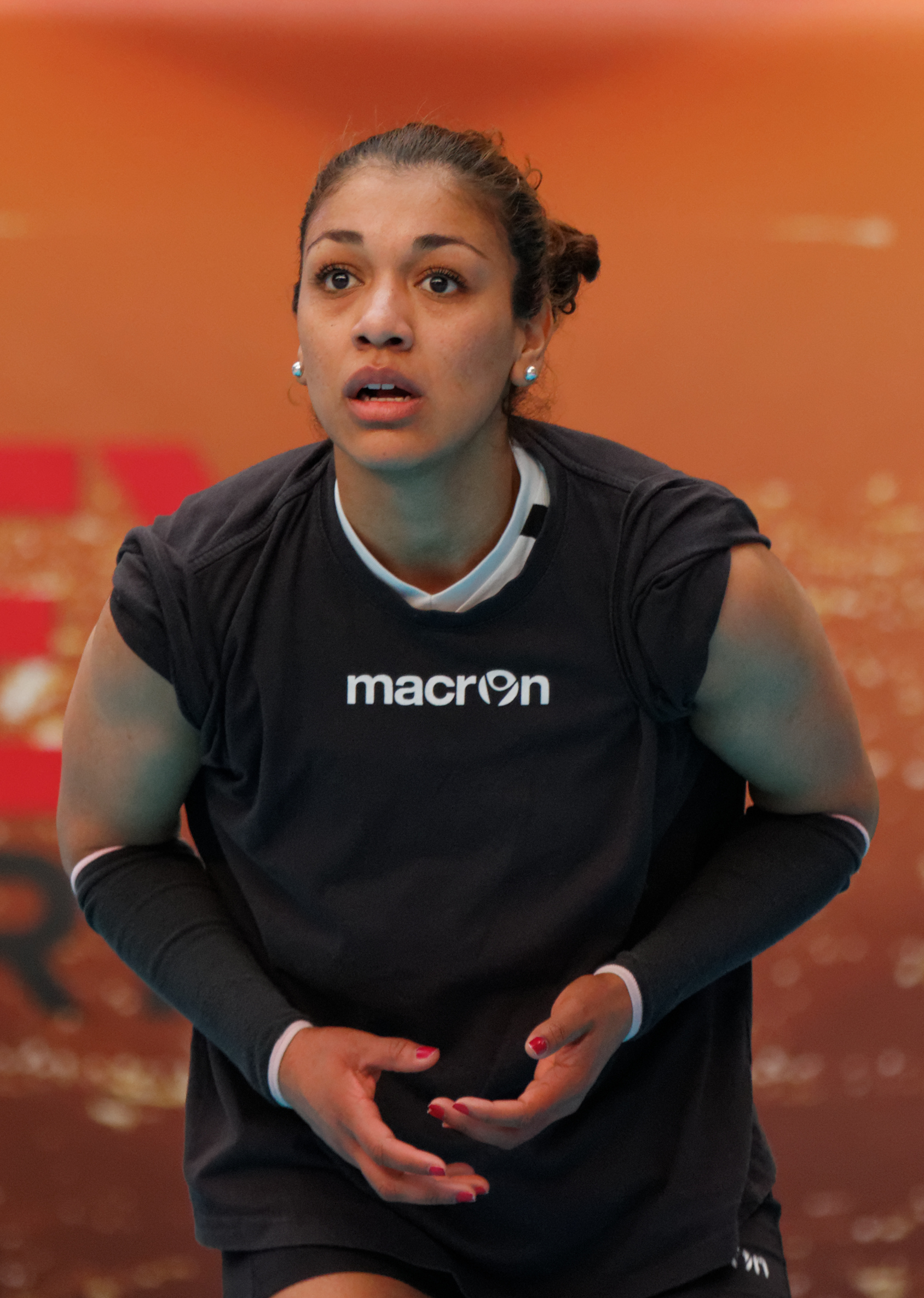 Vanessa Palacios Net Worth 2018: What is this volleyball player worth?