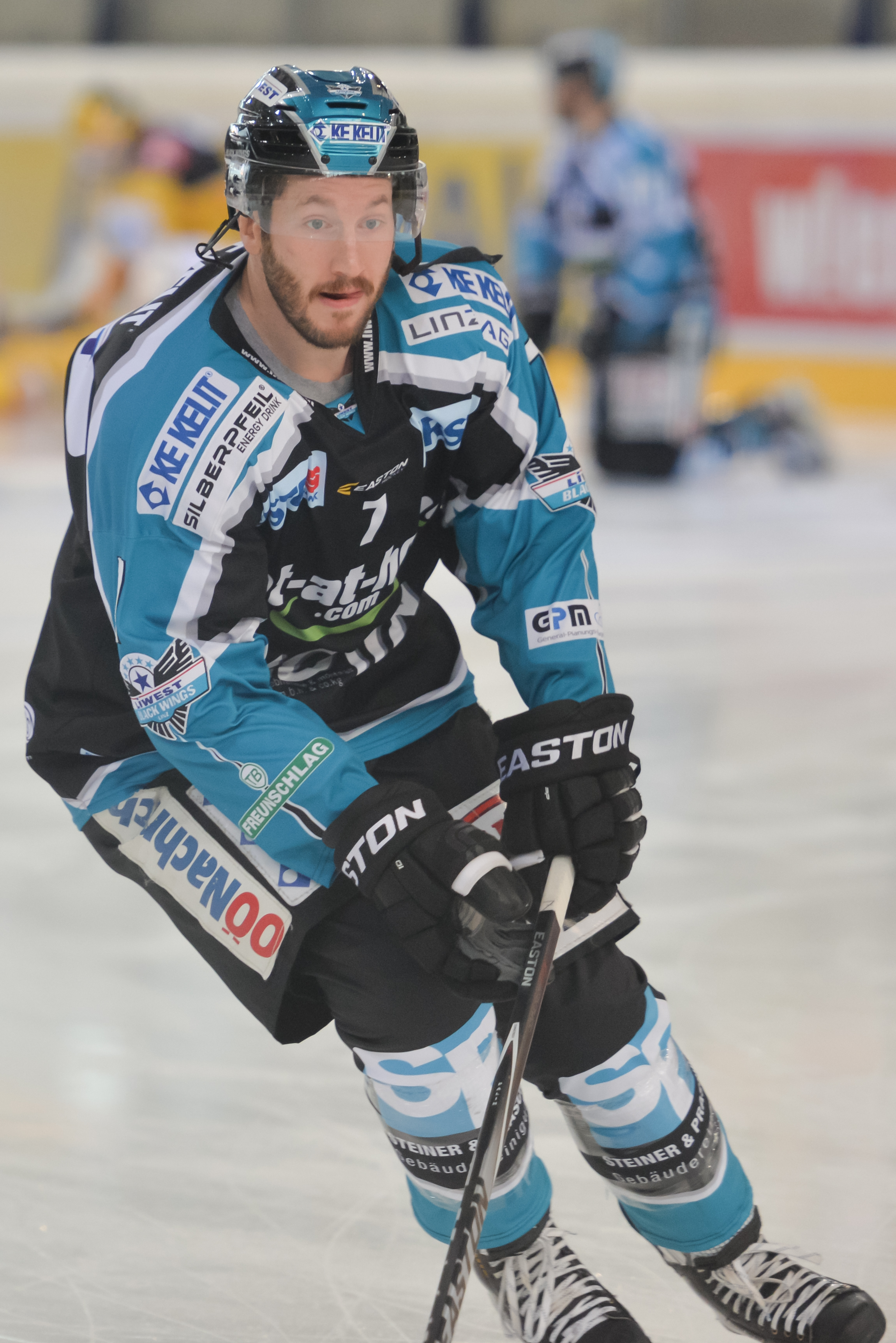 Brett Palin Net Worth 2018: What is this ice hockey player worth?