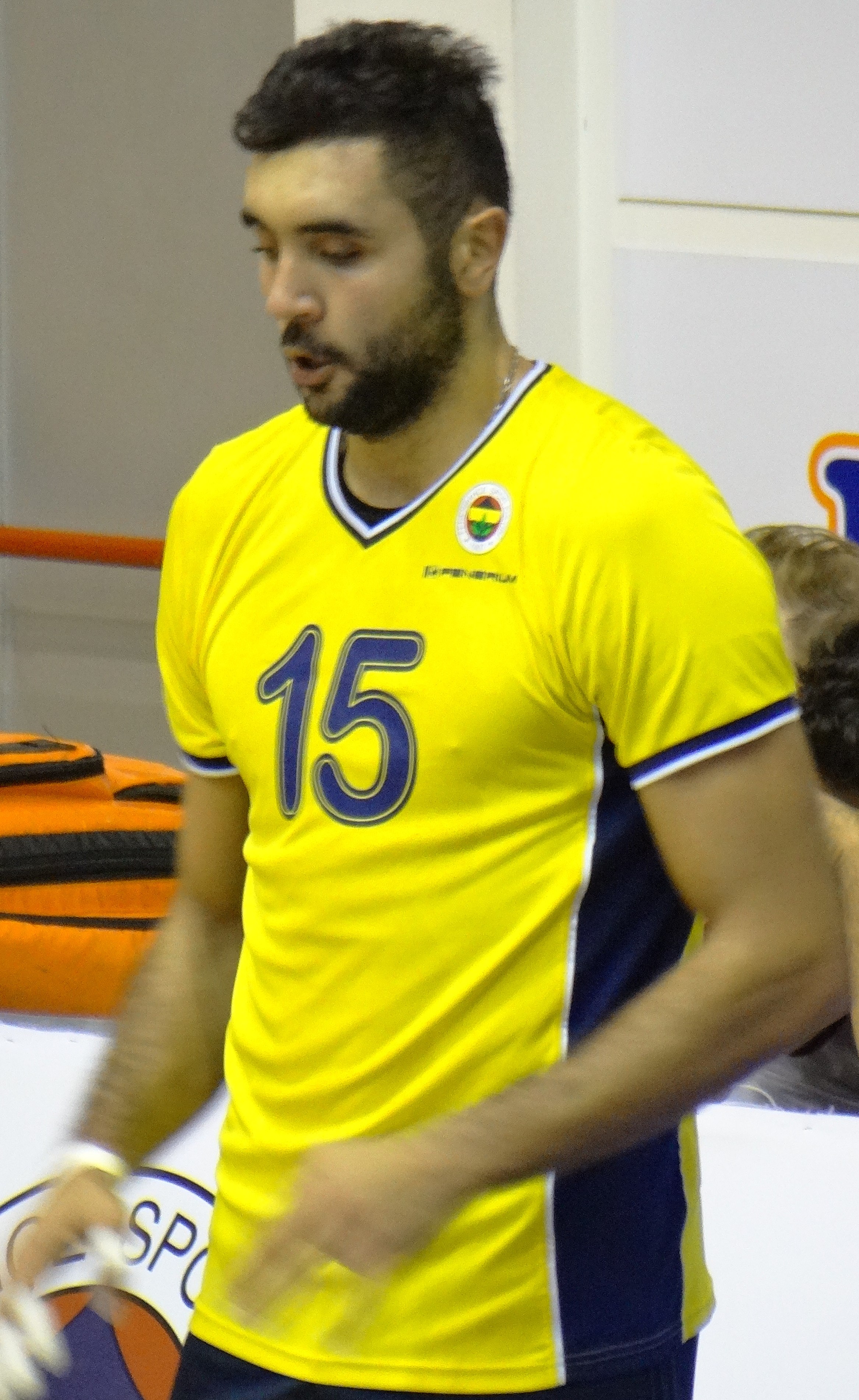 Metin Toy Net Worth 2018: What is this volleyball player worth?