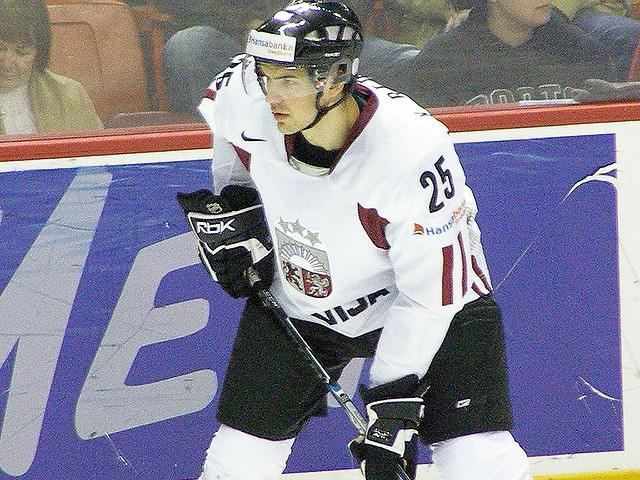 Krisjanis Redlihs Net Worth