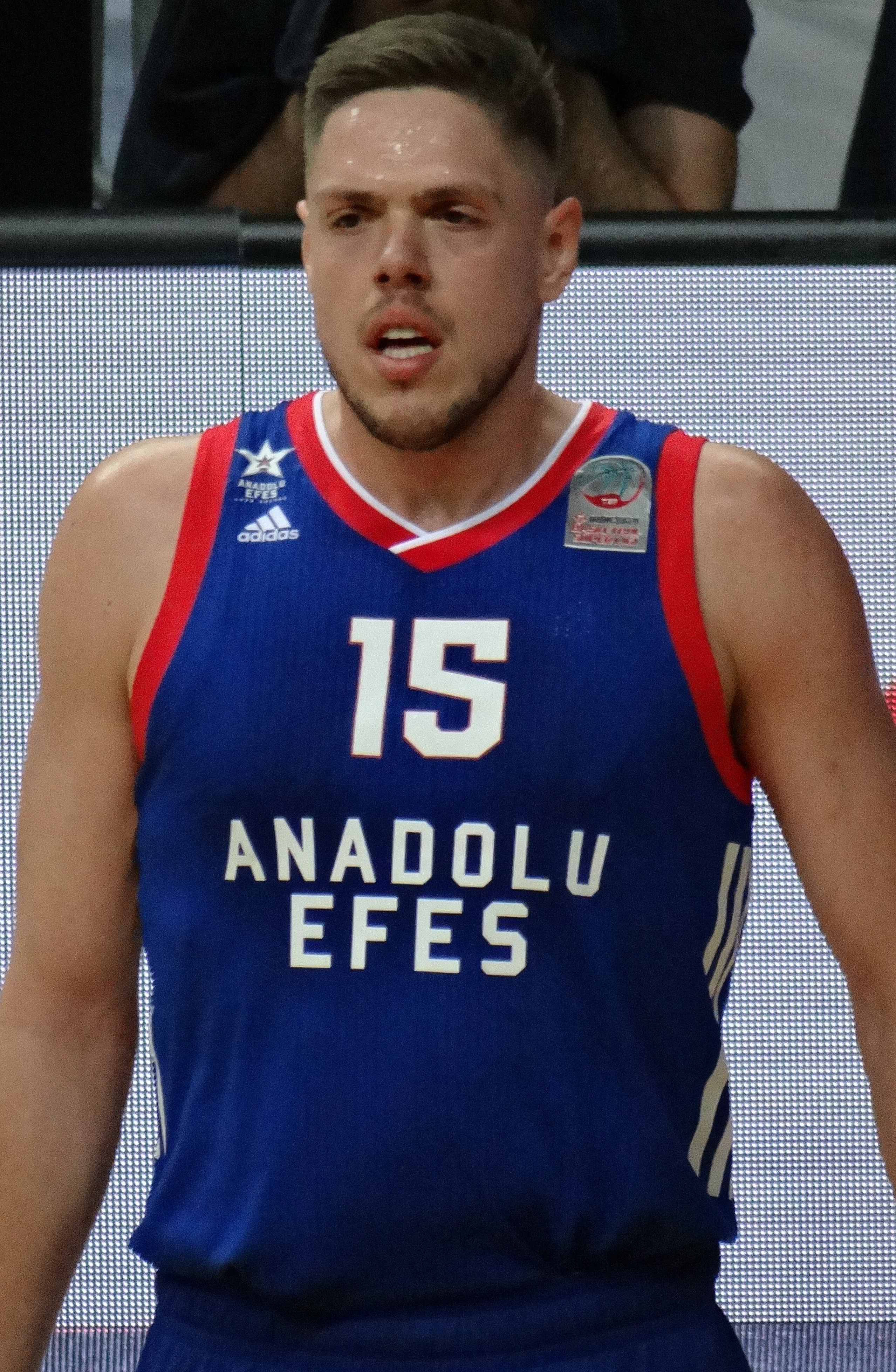 Vladimir Štimac Net Worth 2018: What is this basketball player worth?