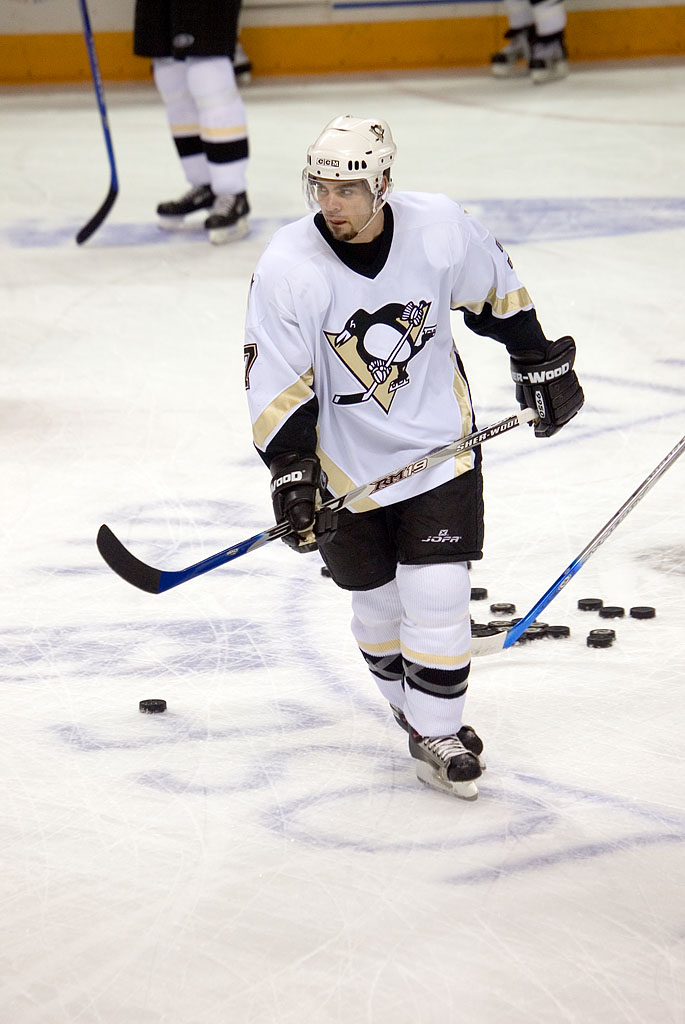 Michel Ouellet Net Worth 2018: What is this ice hockey player worth?