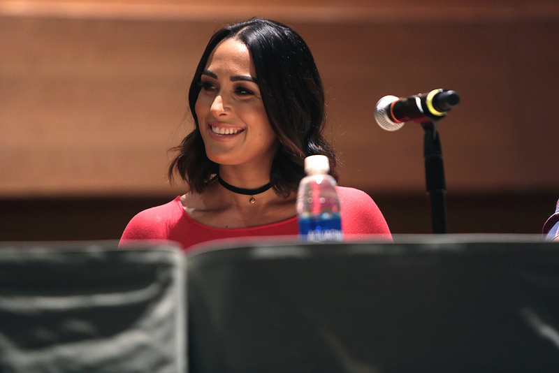 Brie Bella Net Worth 2018: What is this wrestler worth?