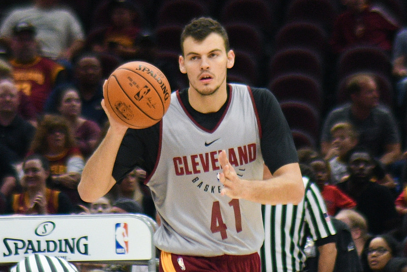 Ante Zizic Net Worth