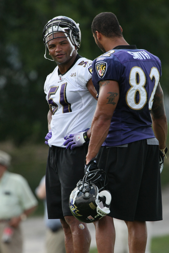 Brendon Ayanbadejo Net Worth 2018: What is this NFL football player worth?