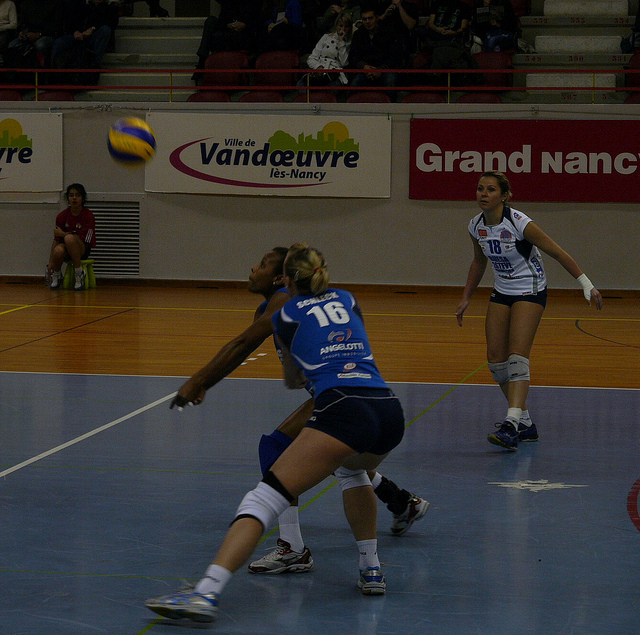 Alexandra Rochelle Net Worth 2018: What is this volleyball player worth?