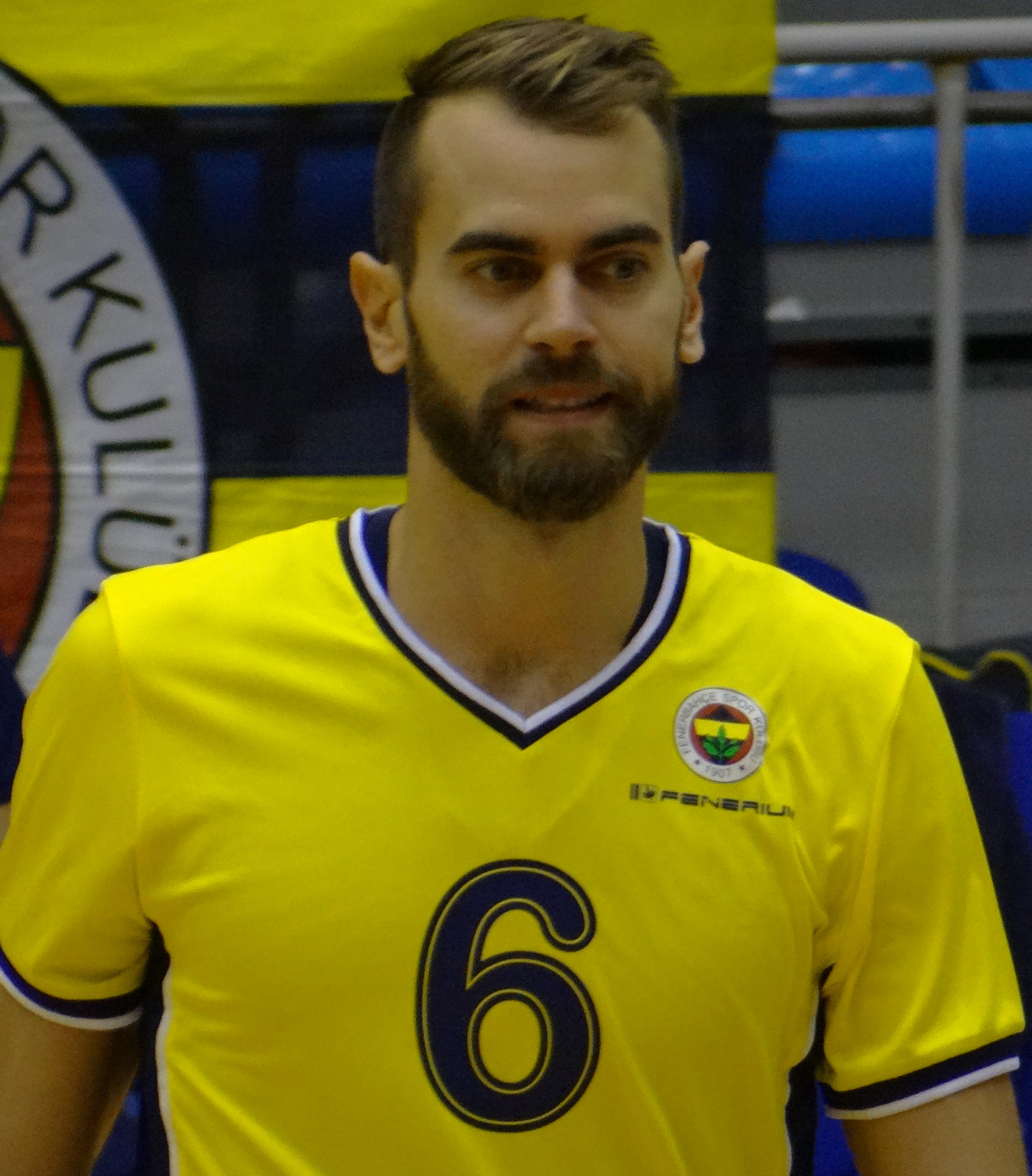 Guillaume Quesque Net Worth 2018: What is this volleyball player worth?