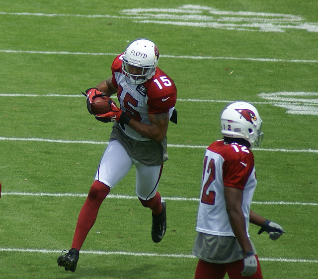 Michael Floyd Net Worth 2018: What is this NFL football player worth?
