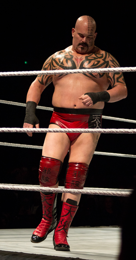 Matt Bloom Net Worth 2018: What is this wrestler worth?