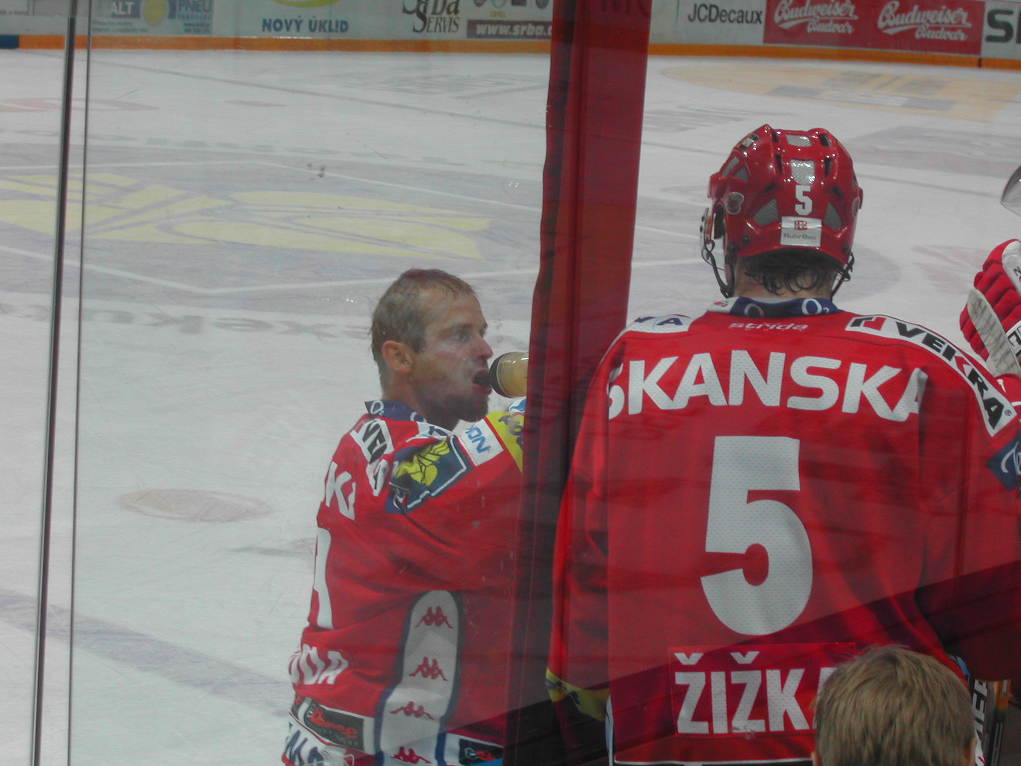 Adam Svoboda Net Worth 2018: What is this ice hockey player worth?
