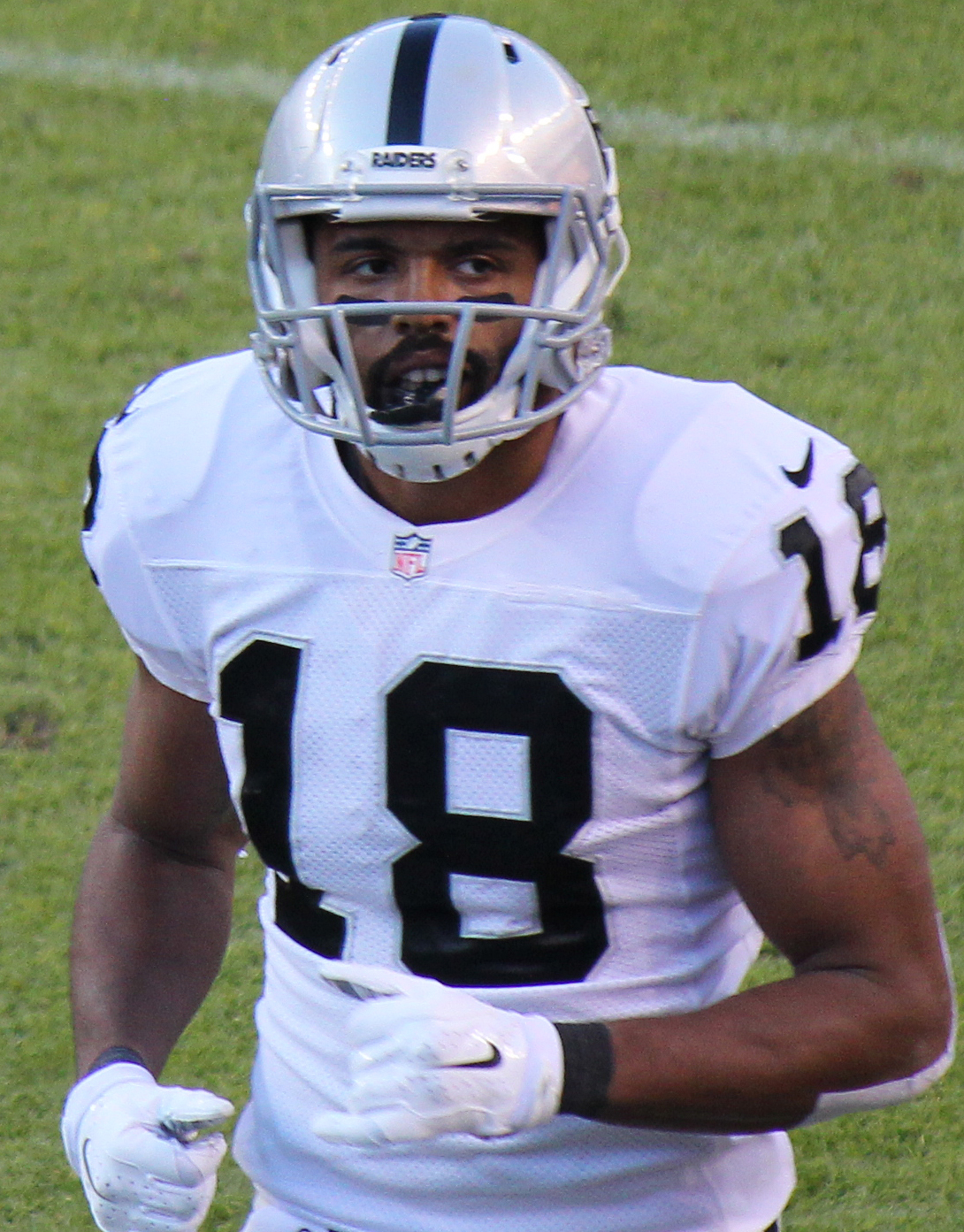 Andre Holmes Net Worth 2018: What is this NFL football player worth?