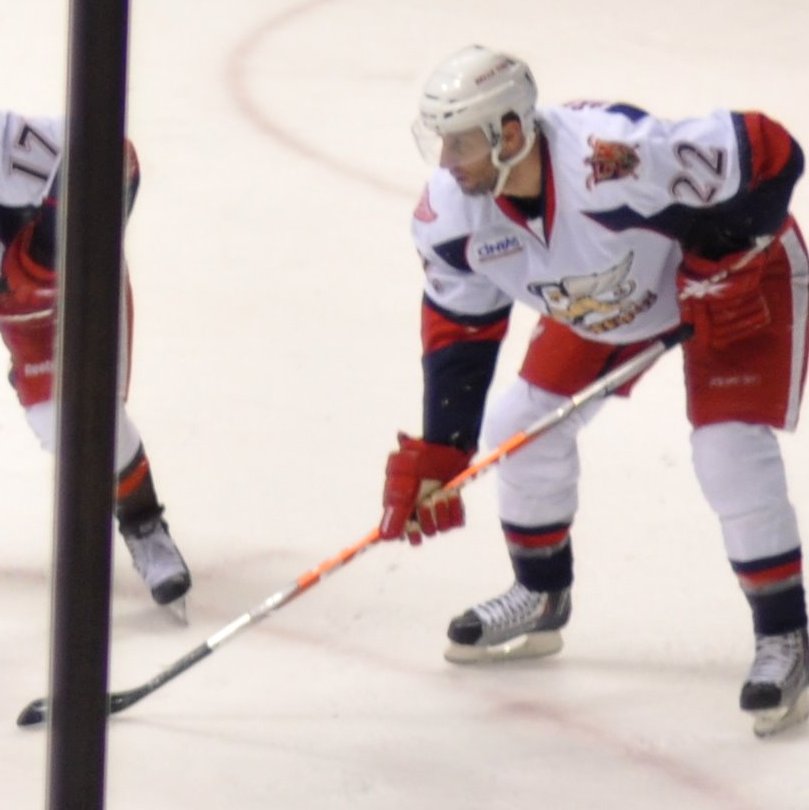 Andy Delmore Net Worth 2018: What is this ice hockey player worth?