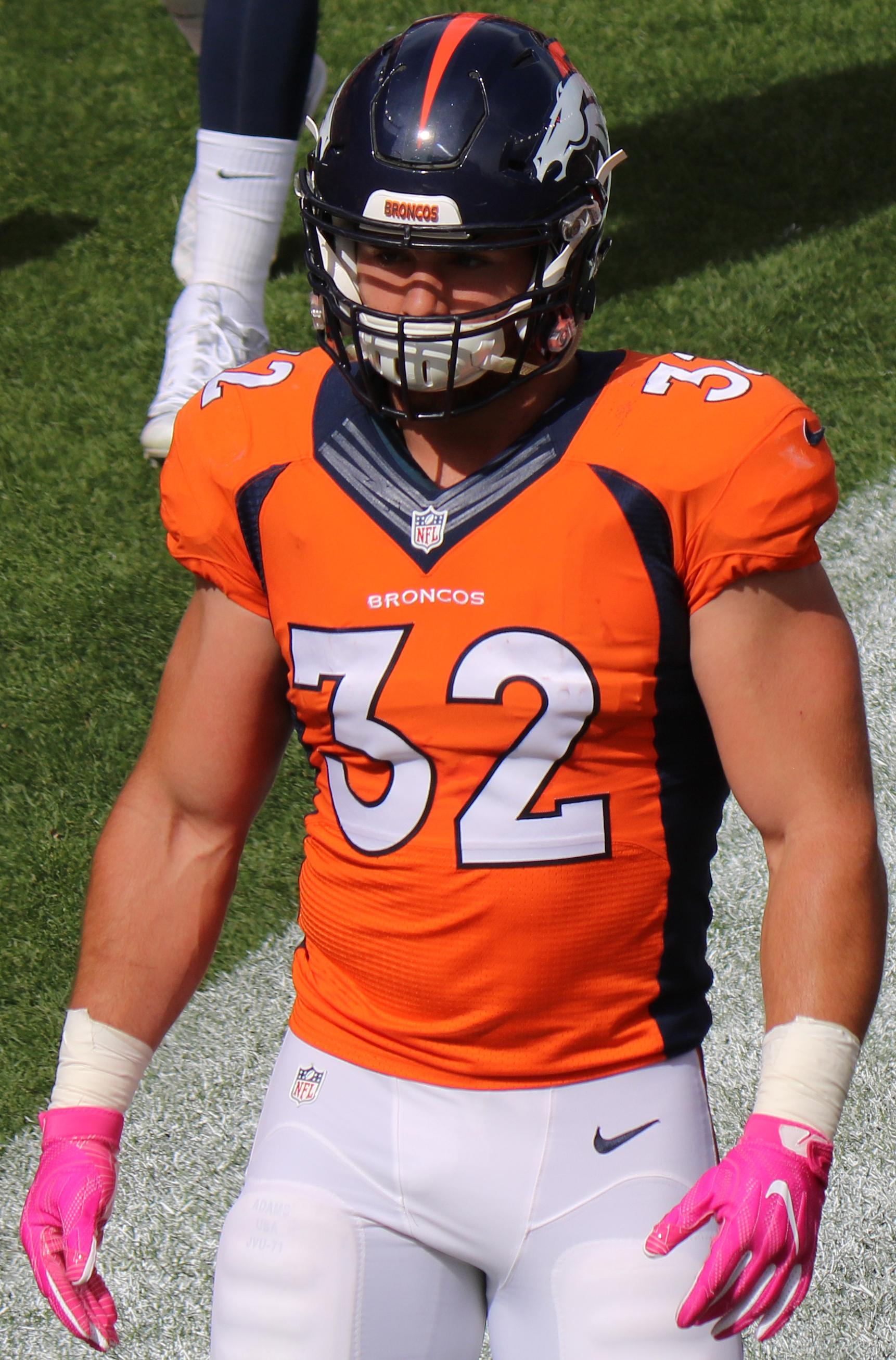 Andy Janovich Net Worth 2018: What is this NFL football player worth?