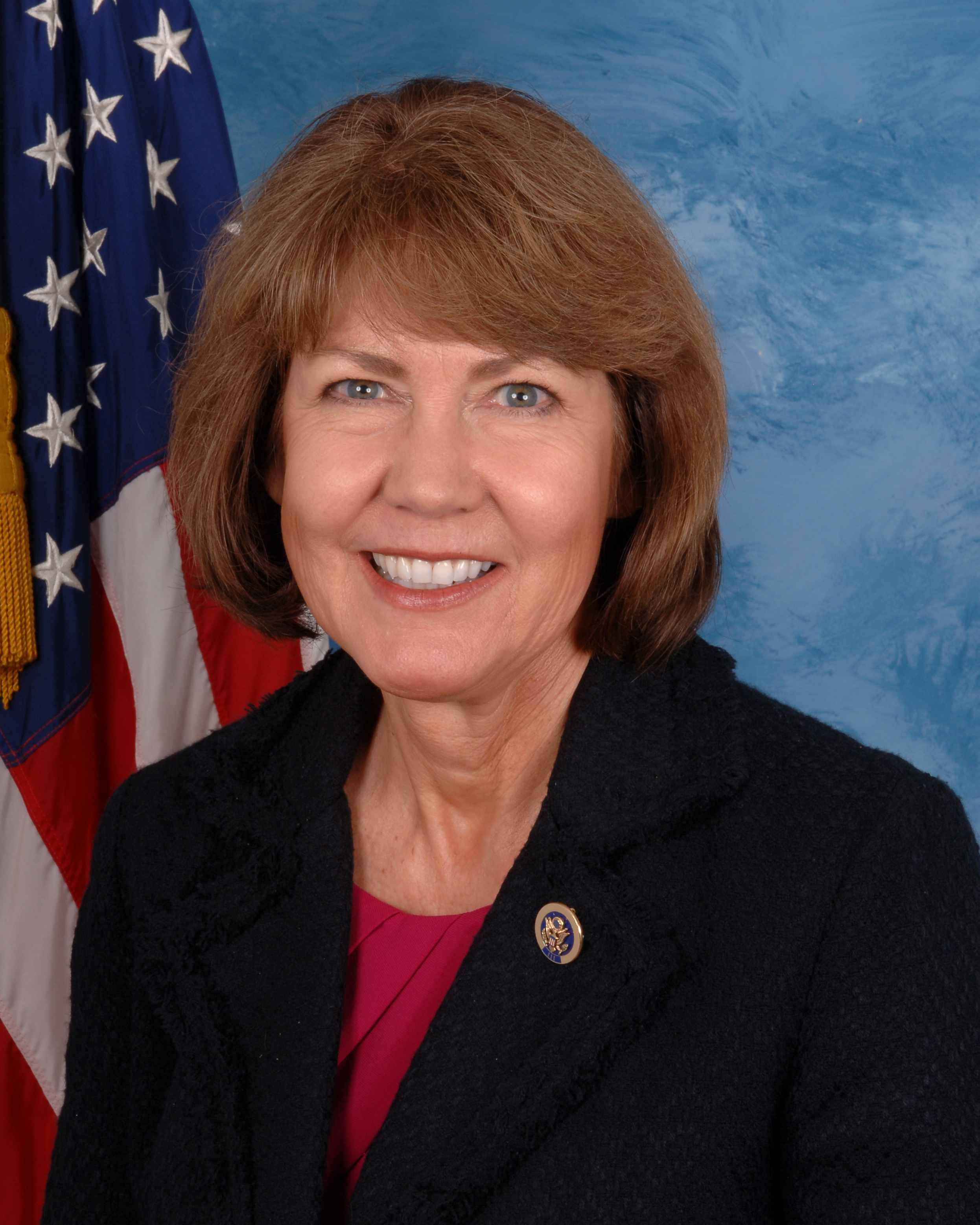 Ann Kirkpatrick Net Worth 2018: What is this U.S. Government Official worth?