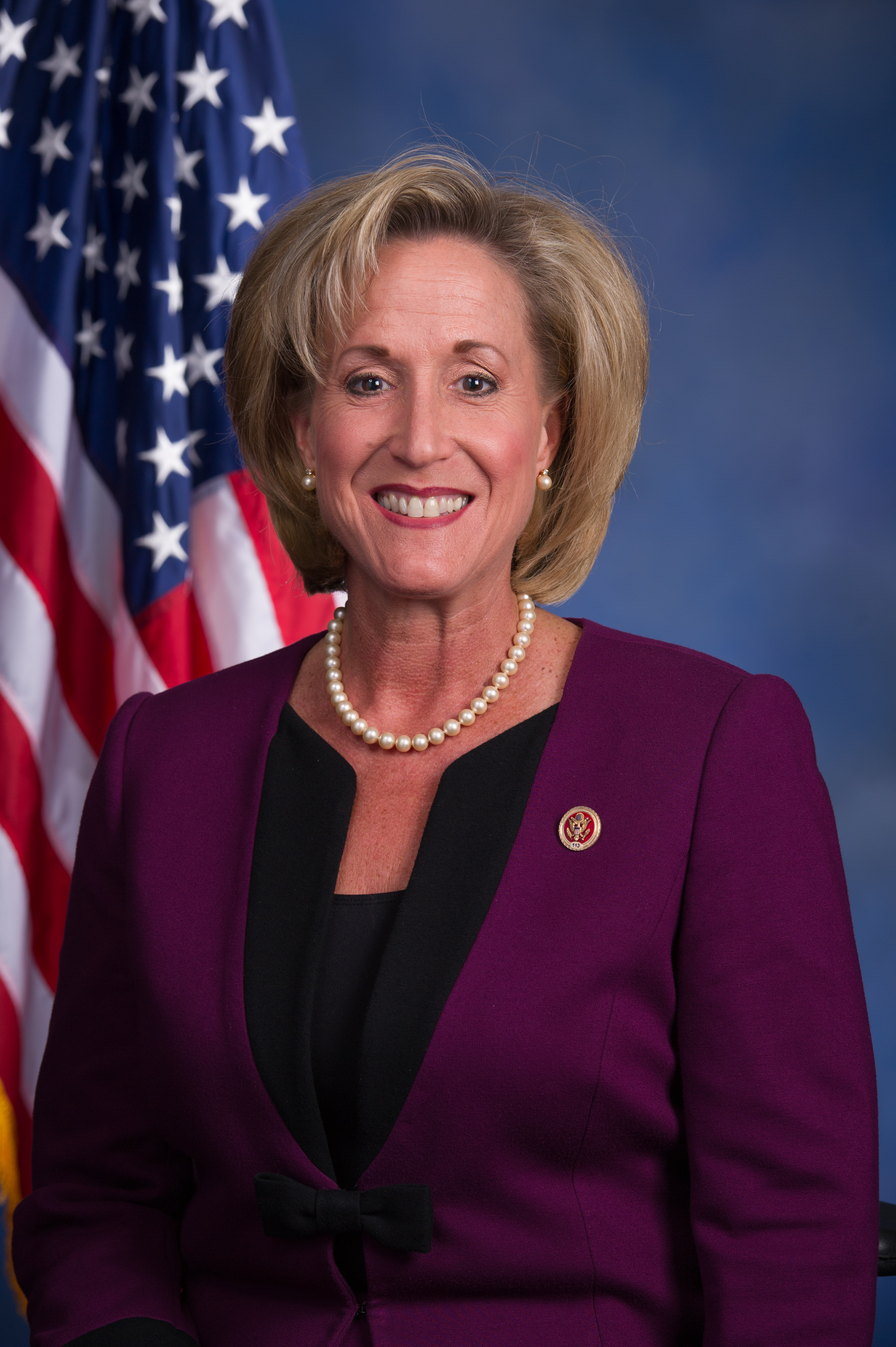 Ann Wagner Net Worth 2018: What is this U.S. Government Official worth?