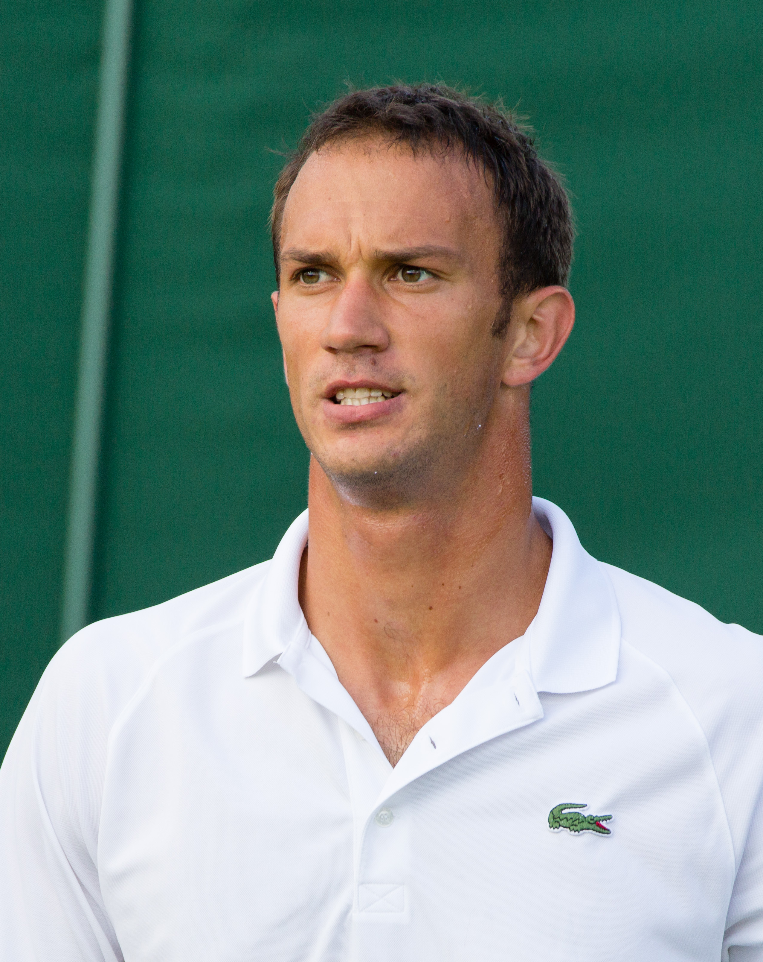 Ante Pavic Net Worth