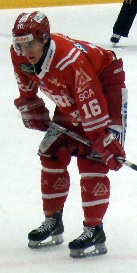 Anton Axelsson Net Worth 2018: What is this ice hockey player worth?