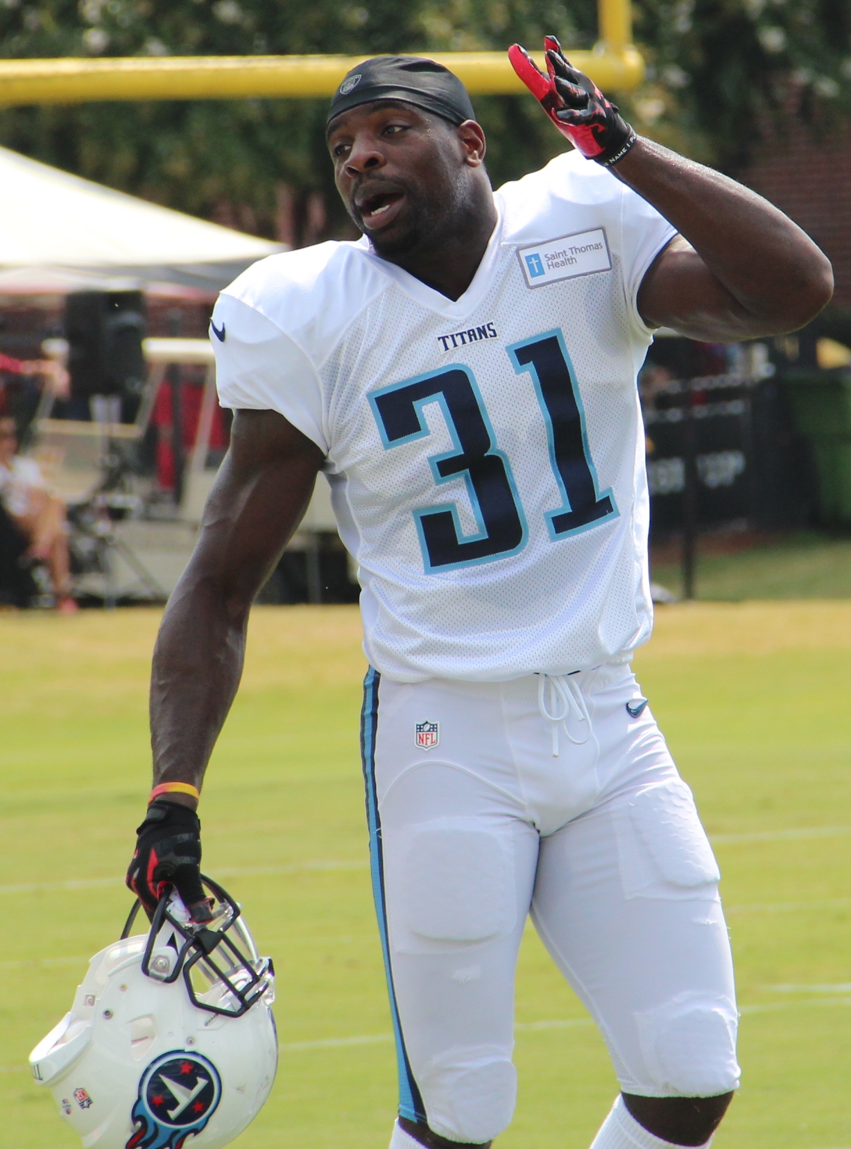 Bernard Pollard Net Worth 2018: What is this NFL football player worth?