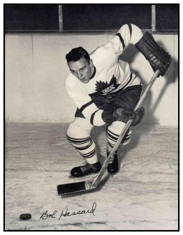 Bob Hassard Net Worth 2018: What is this ice hockey player worth?