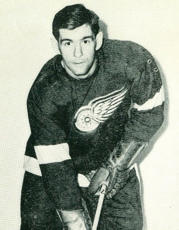 Bob Goldham Net Worth 2018: What is this ice hockey player worth?