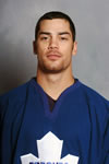 Brad Leeb Net Worth 2018: What is this ice hockey player worth?