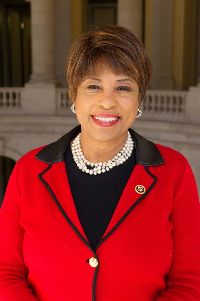 Brenda Lawrence Net Worth 2018: What is this U.S. Government Official worth?