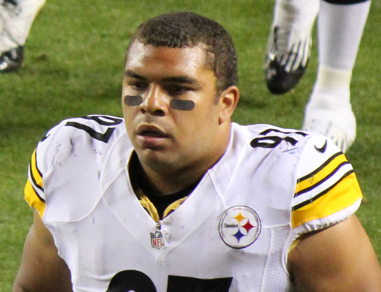 Cameron Heyward Net Worth 2018: What is this NFL football player worth?