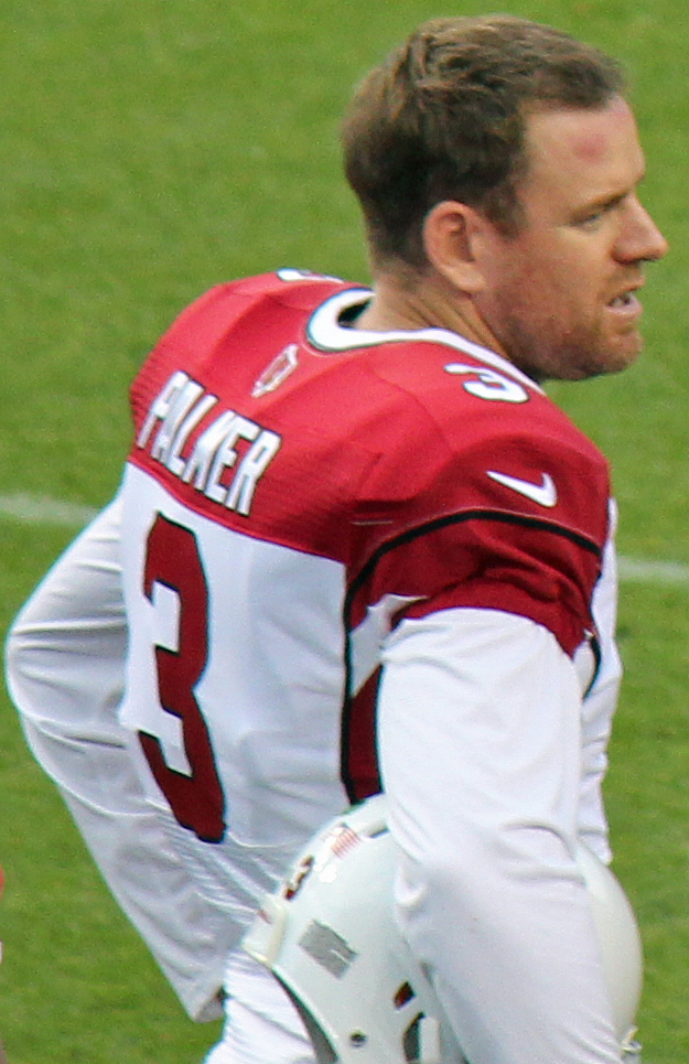 Carson Palmer Net Worth 2018: What is this NFL football player worth?