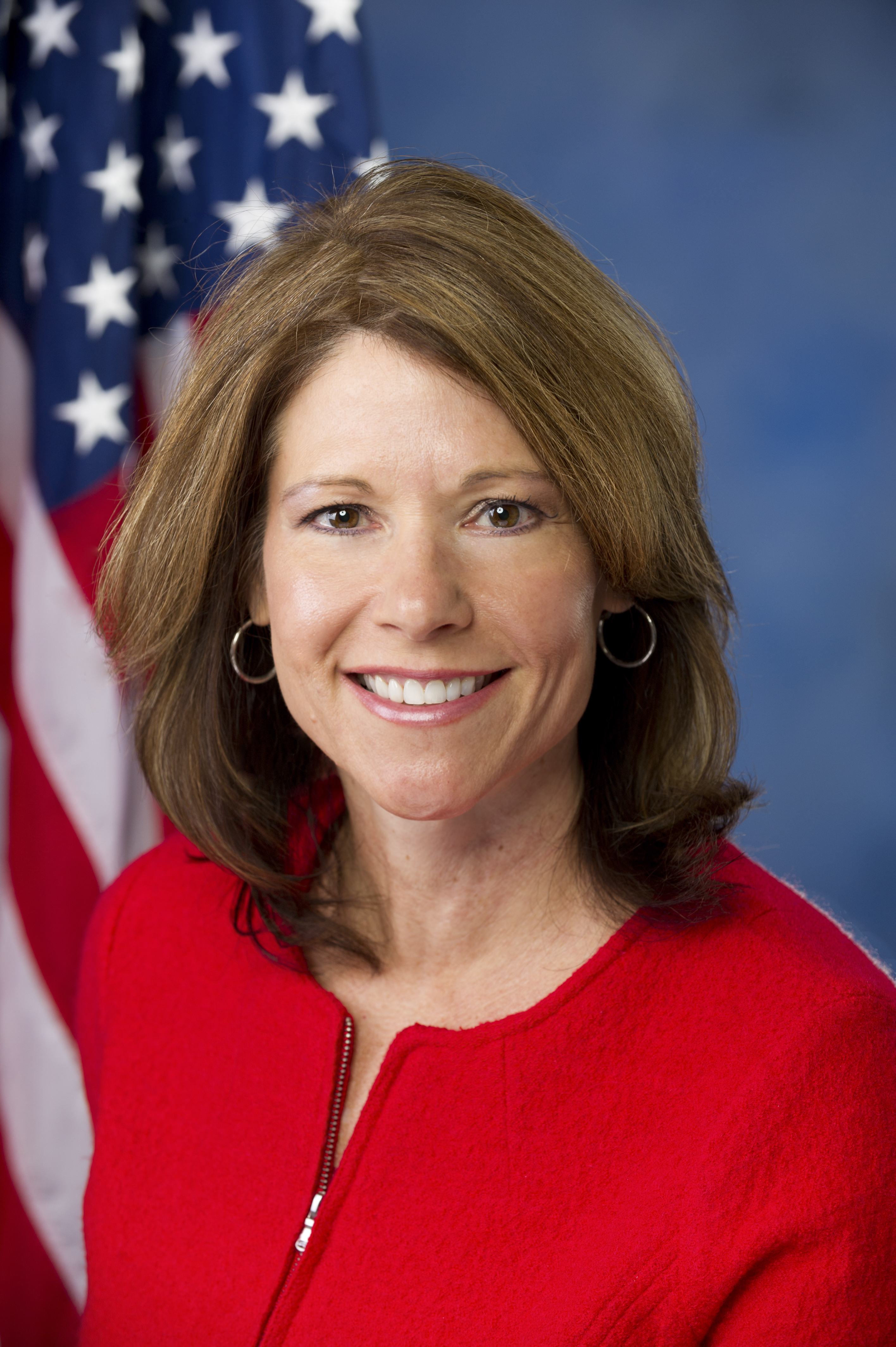 Cheri Bustos Net Worth 2018: What is this U.S. Government Official worth?