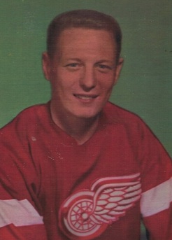 Bruce MacGregor Net Worth 2018: What is this ice hockey player worth?