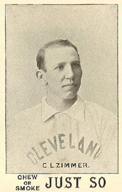 Chief Zimmer Net Worth 2018: What is this baseball player worth?