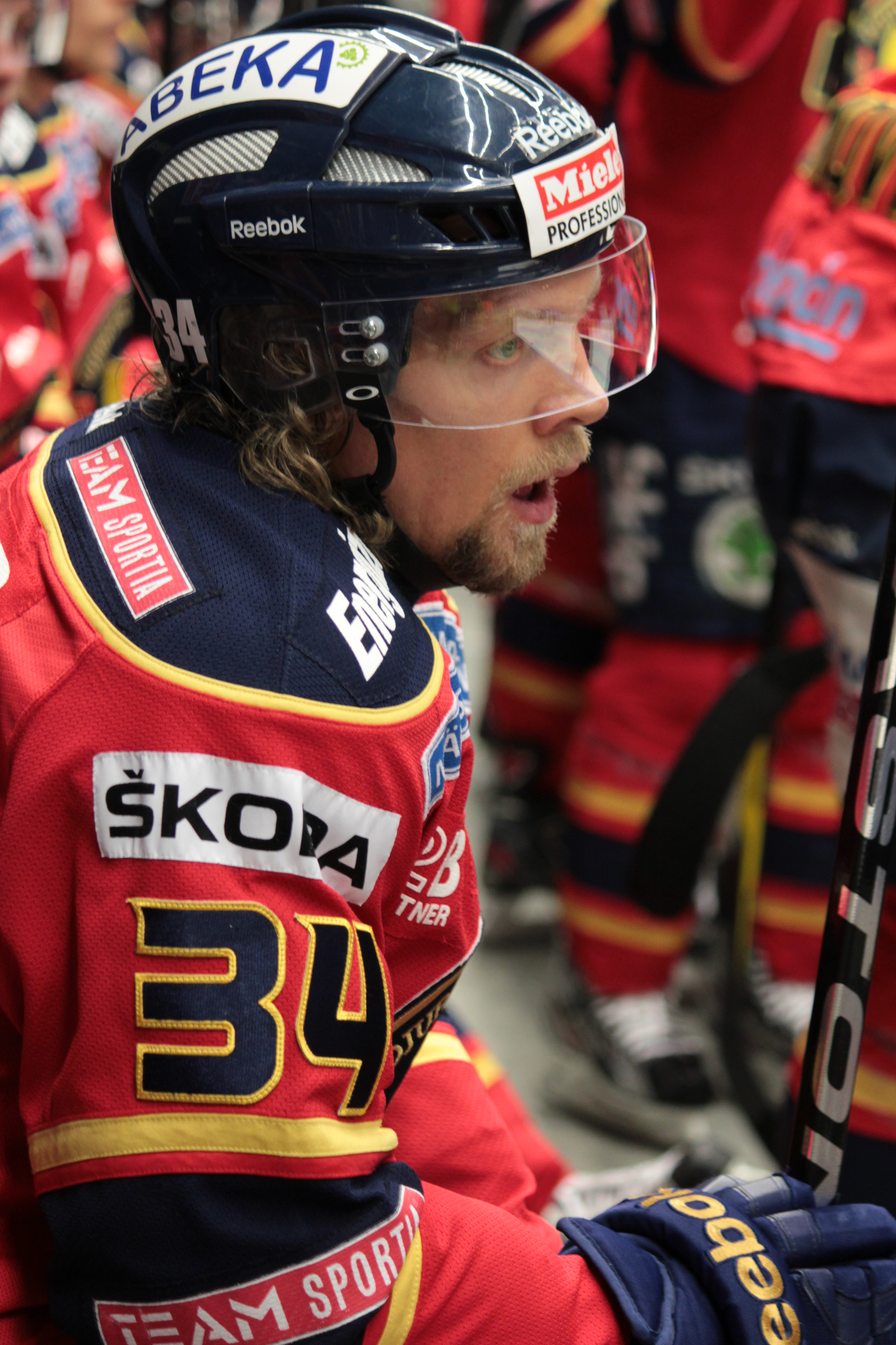 Daniel Tjarnqvist Net Worth