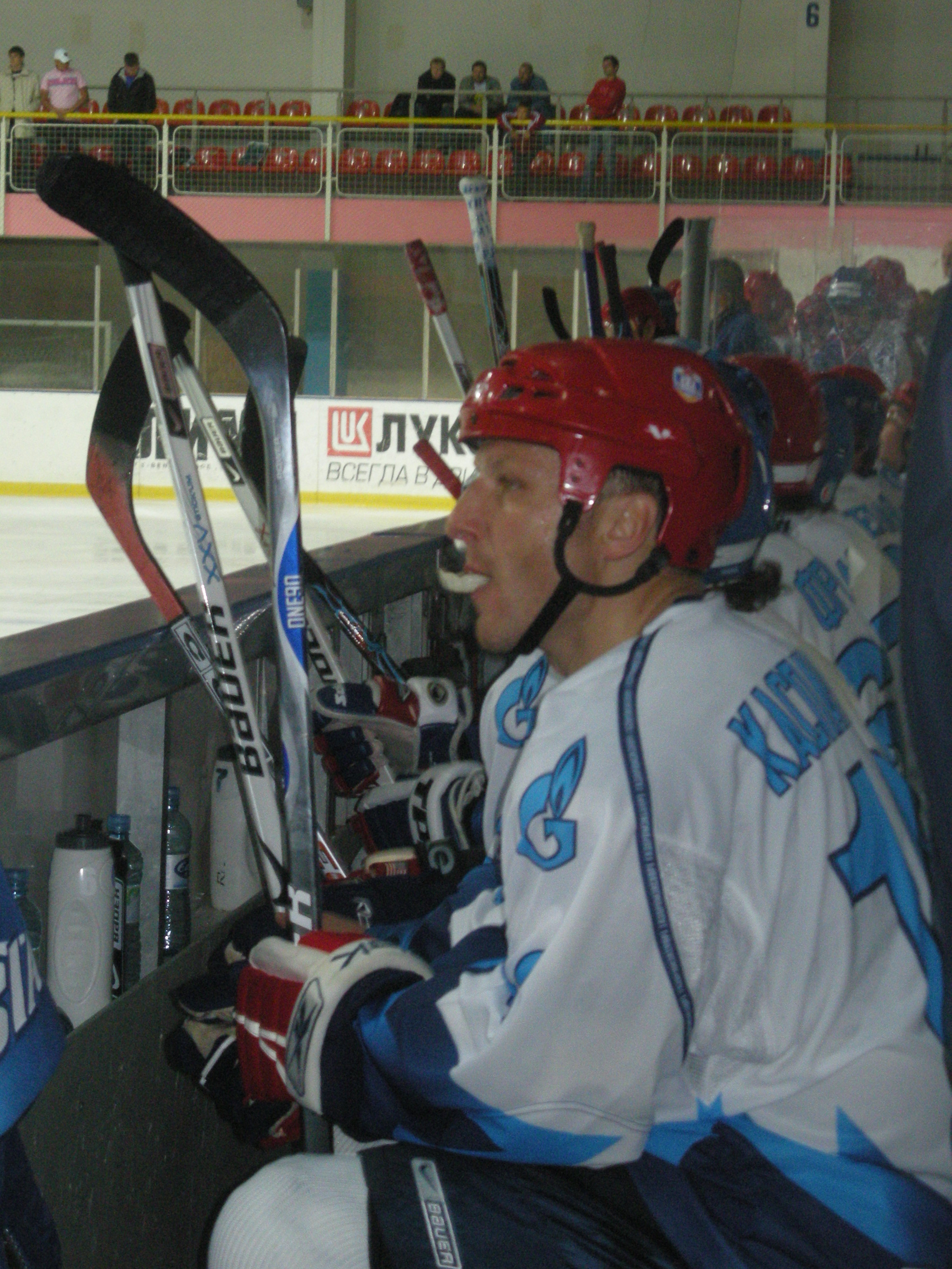 Darius Kasparaitis Net Worth 2018: What is this ice hockey player worth?