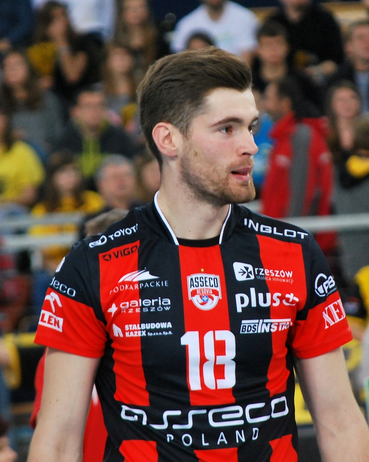 Dawid Dryja Net Worth 2018: What is this volleyball player worth?