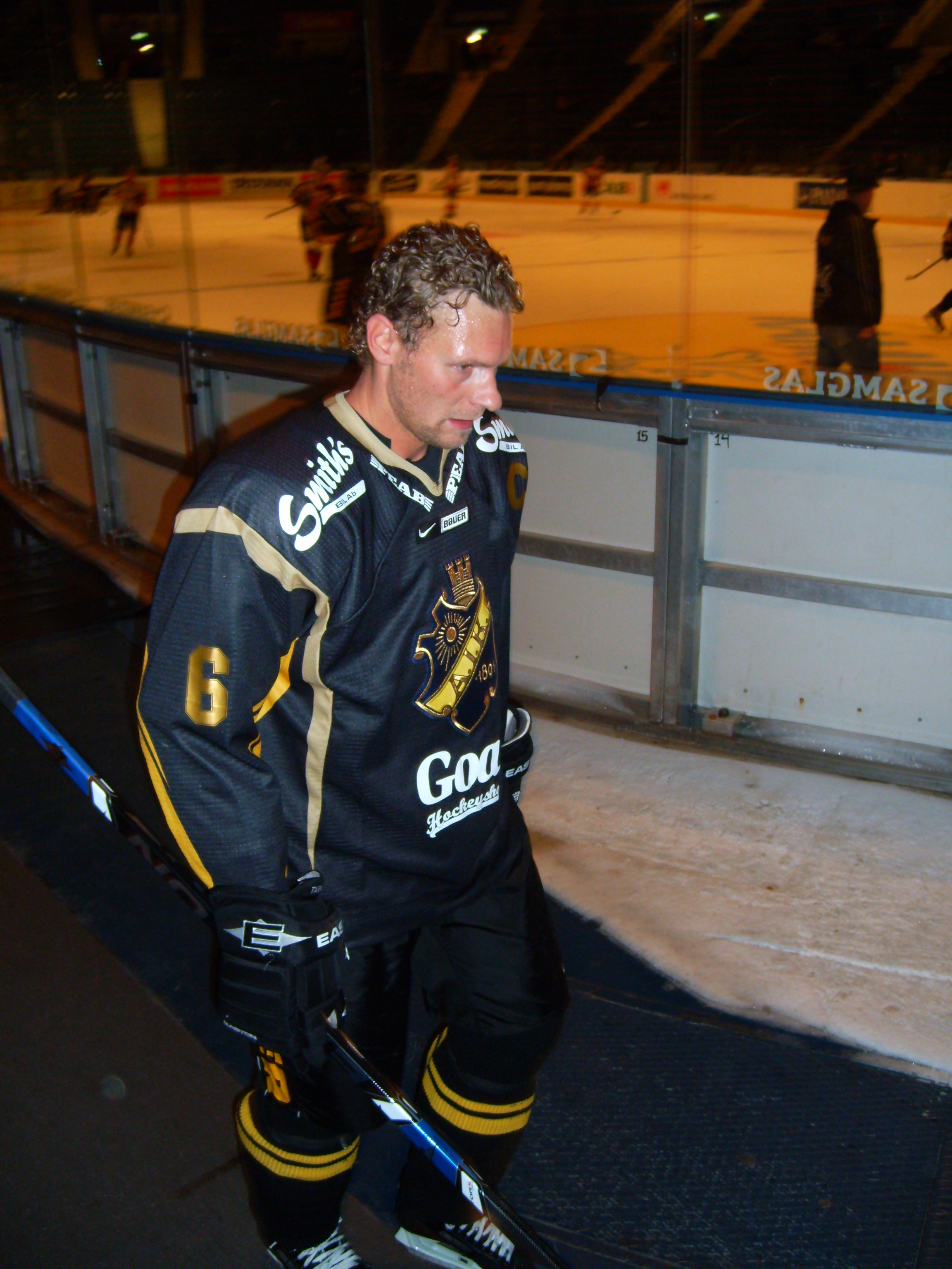 Dick Tärnström Net Worth 2018: What is this ice hockey player worth?