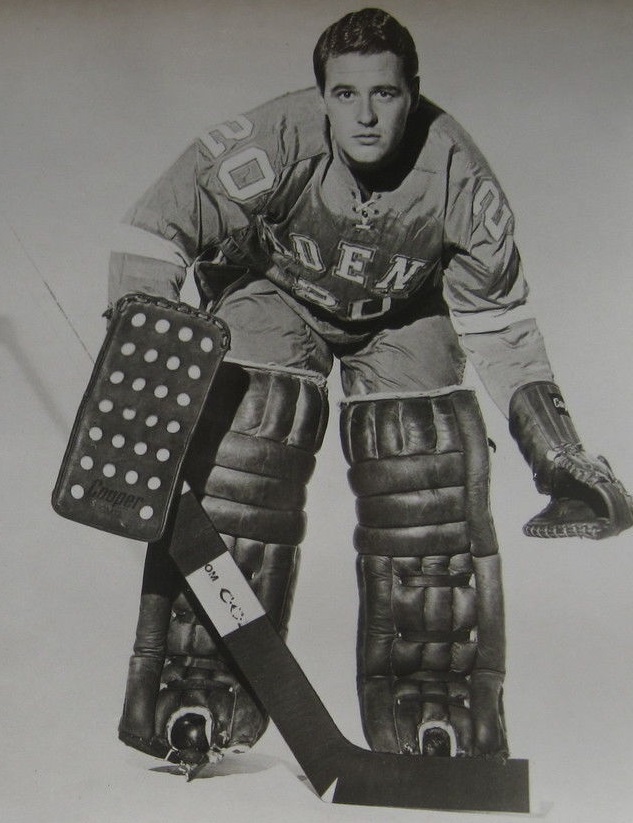 Don Caley Net Worth 2018: What is this ice hockey player worth?