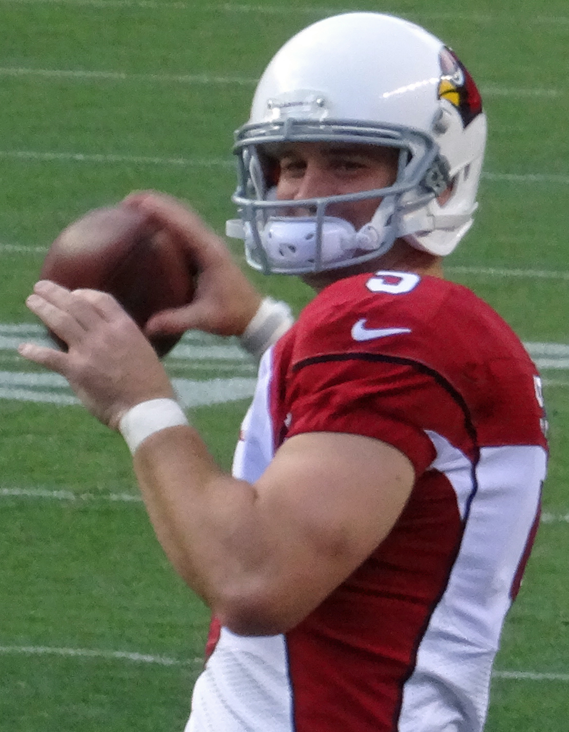 Drew Stanton Net Worth 2018: What is this NFL football player worth?