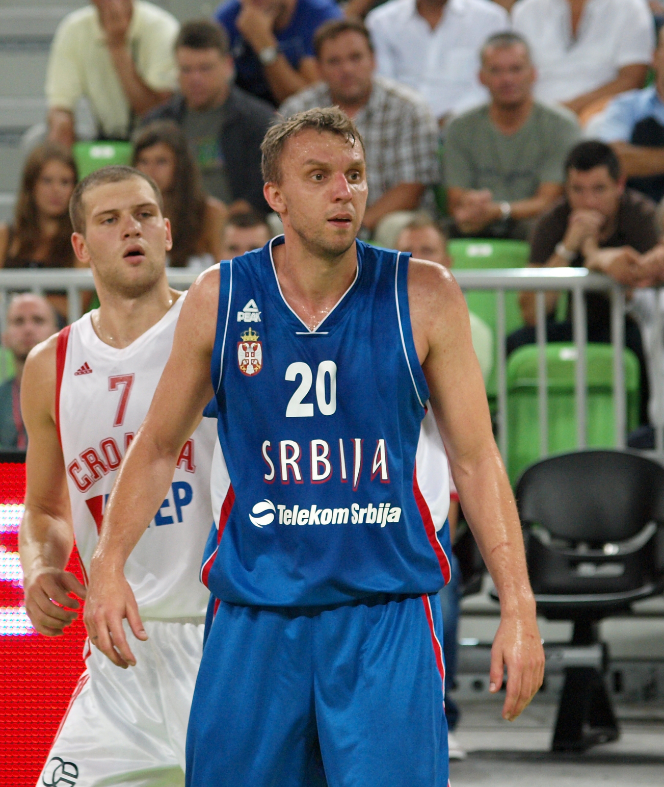 Duško Savanović Net Worth 2018: What is this basketball player worth?