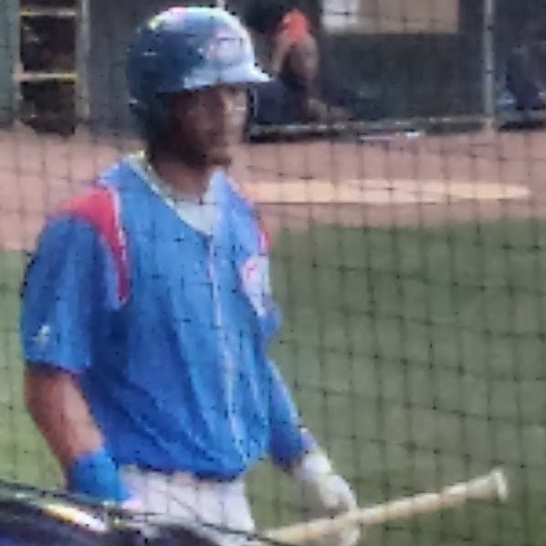 Chicago Cubs minor league players Net Worth 2018: What is this baseball player worth?