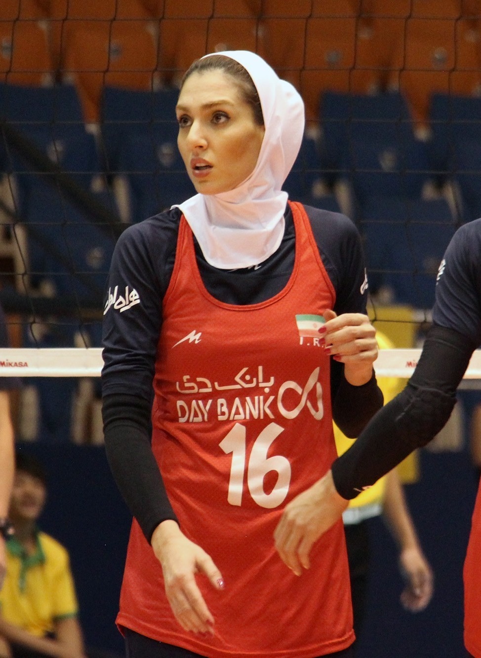 Farnoosh Sheikhi Net Worth 2018: What is this volleyball player worth?