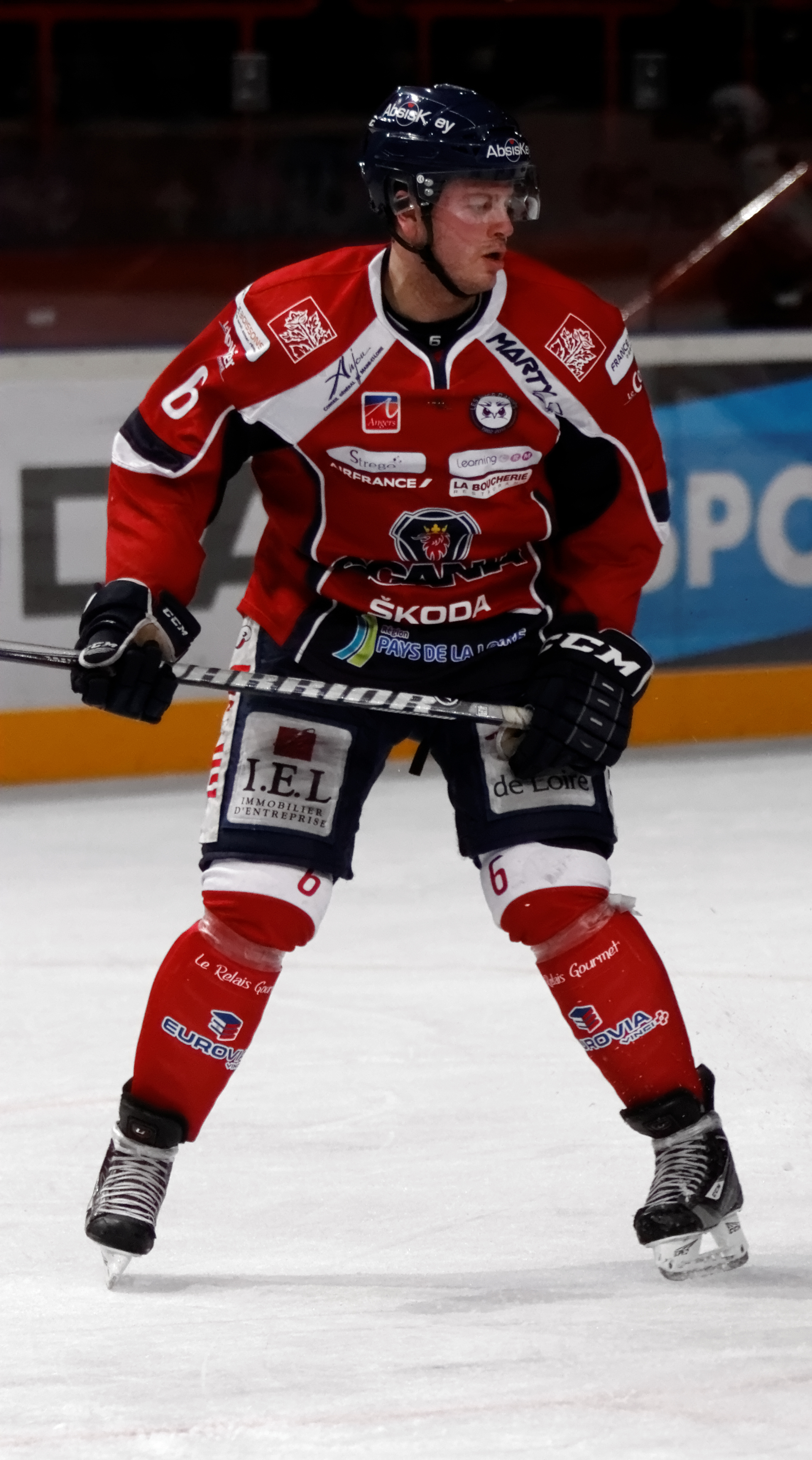 Michael Busto Net Worth 2018: What is this ice hockey player worth?