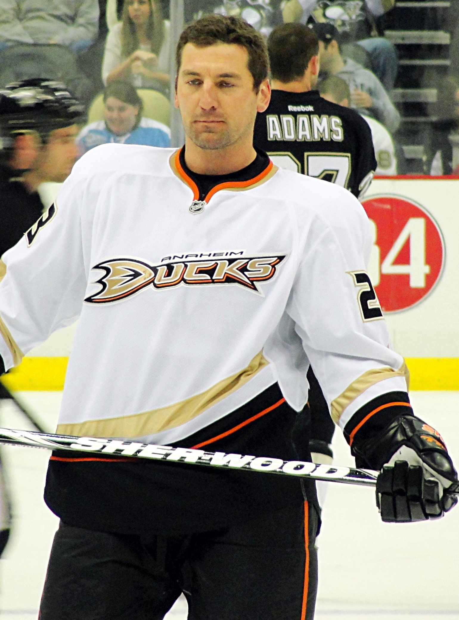 Francois Beauchemin Net Worth